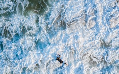 5 Steps for Putting Corporate Purpose Into Practice