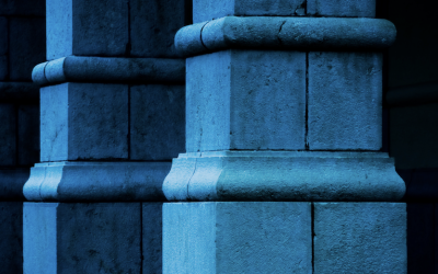 Three Foundational Characteristics of Purpose-Driven Organisations